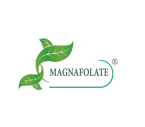 Magnafolate® అంటే ఏమిటి? ఫోలేట్ VS ఫోలిక్ యాసిడ్, తేడా ఏమిటి?