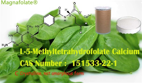 L-5-Methyltetrahydrofolate మరియు ఫోలిక్ యాసిడ్ ఒకేలా ఉన్నాయా?