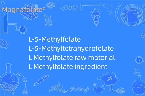 L Methylfolate ఏమి చేస్తుంది?