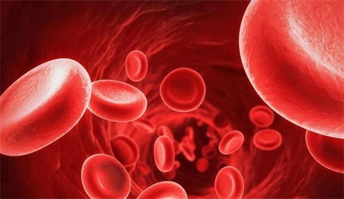 ఫోలేట్ జీవక్రియ రుగ్మత, మనం ఏమి చేయాలి