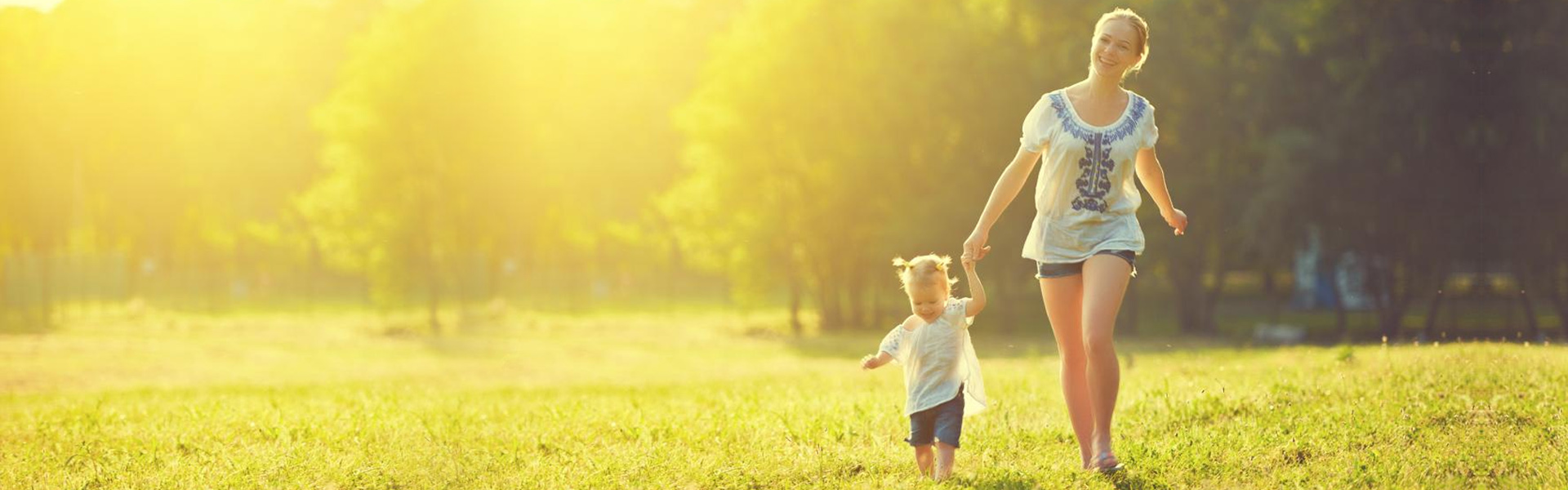 శాస్త్రీయ పోషకాహార సప్లిమెంటేషన్ కోసం ప్రీమిక్స్ మాగ్నాఫోలేట్‌ను ఎలా ఉపయోగించాలి